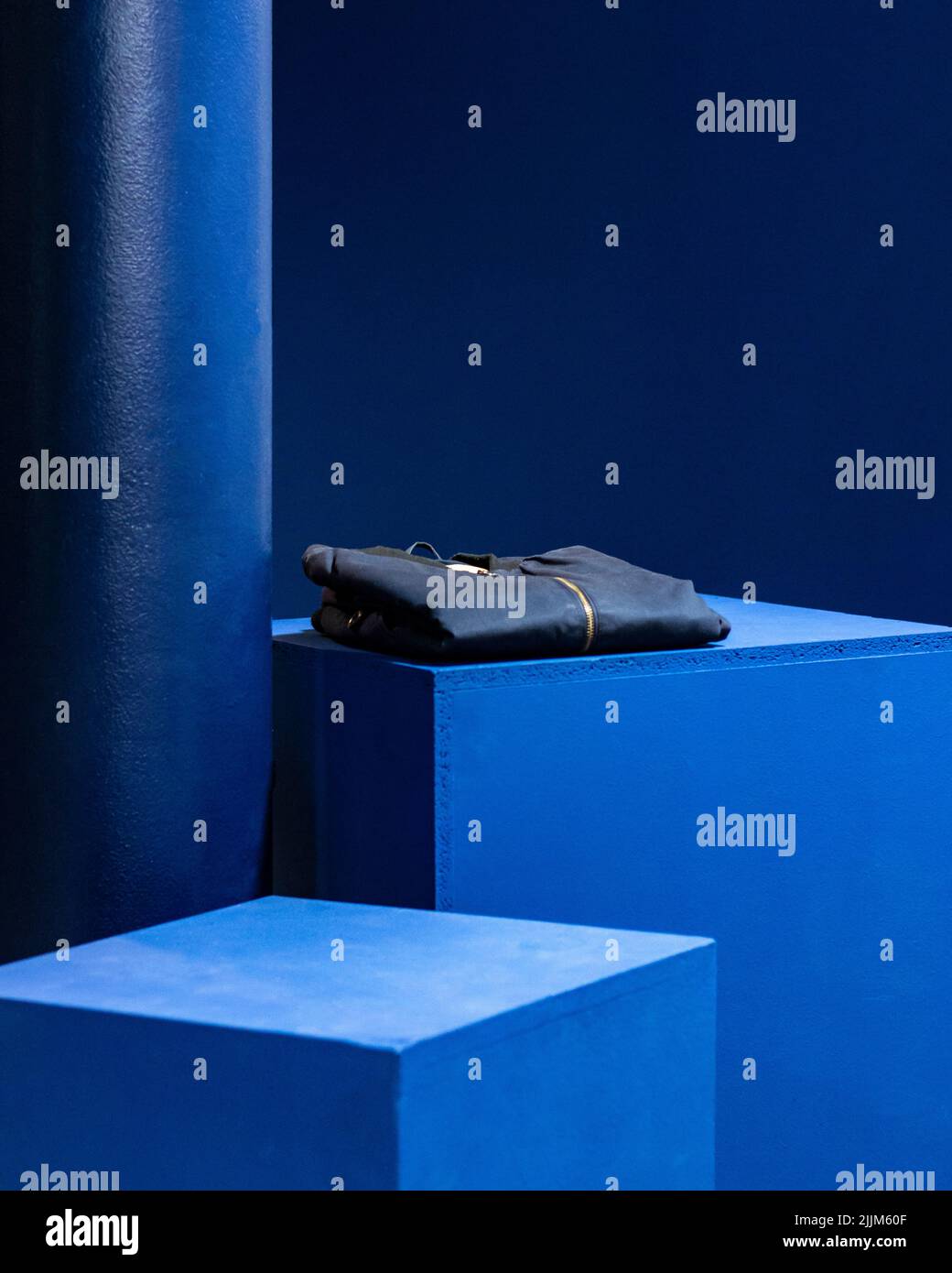 Eine vertikale Aufnahme einer blauen, noch lebenden Jackensäule Stockfoto