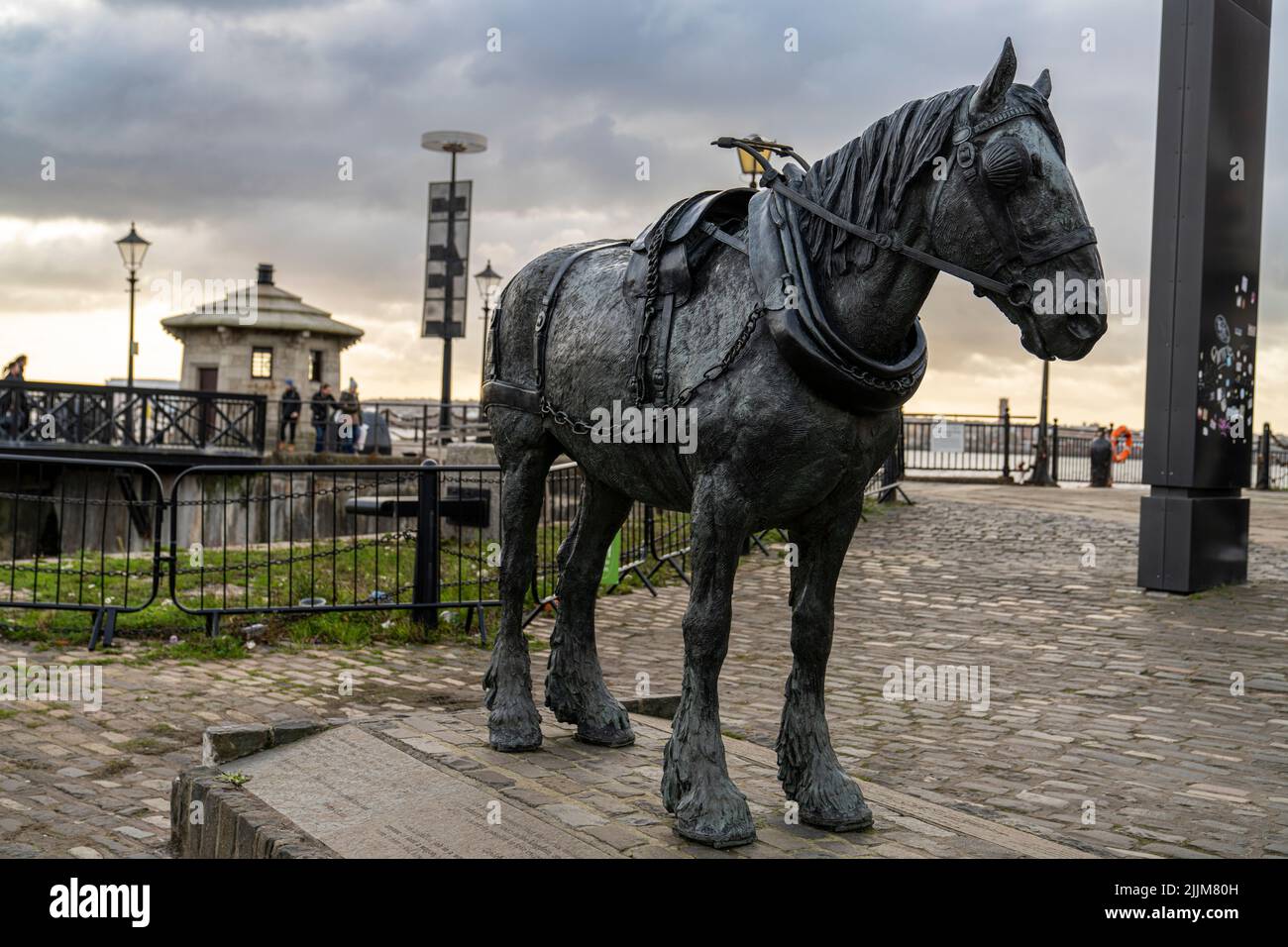 Nahaufnahme der Statue eines Arbeitspferdes in Liverpool Stockfoto