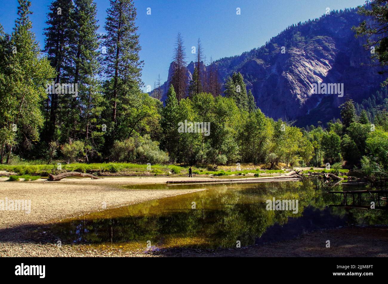 Eine wunderschöne Aufnahme von Pelzbäumen, die sich auf dem Wasser mit Bergen im Yosemite National Park, Kalifornien, spiegeln Stockfoto