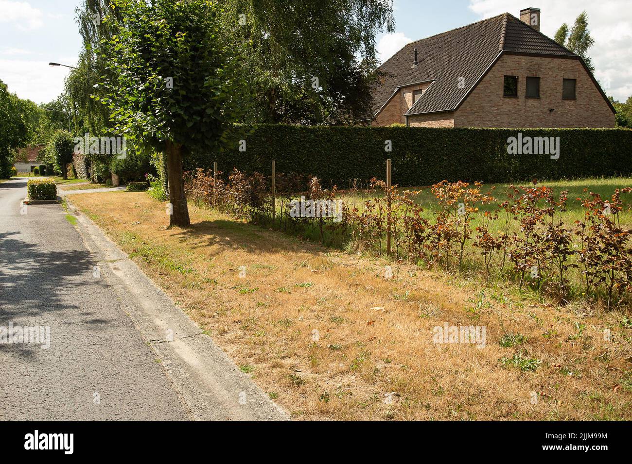 Die Abbildung zeigt trockenes Gras, das am Mittwoch, 27. Juli 2022 in Sint-Martens-Latem, Gent, abgebildet wurde. Seit Anfang des Jahres haben schwere Dürren Auswirkungen auf Europa. BELGA FOTO JAMES ARTHUR GEKIERE Stockfoto