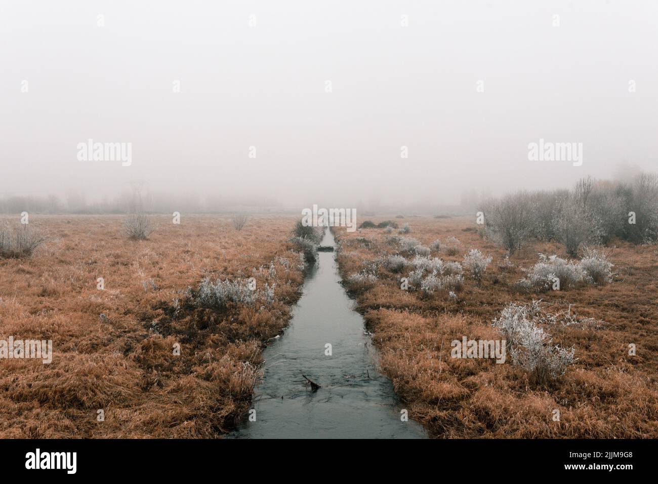 Ein frostiger Morgen auf Bäumen und Feuchtgebieten in Wilsonville beim Wandern Stockfoto