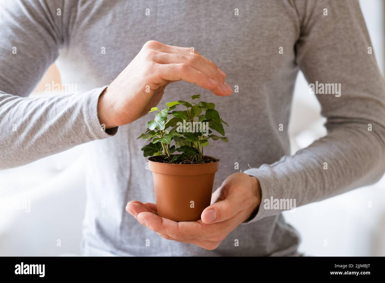 Naturschutz Mann decken Hauspflanzen Hand Stockfoto