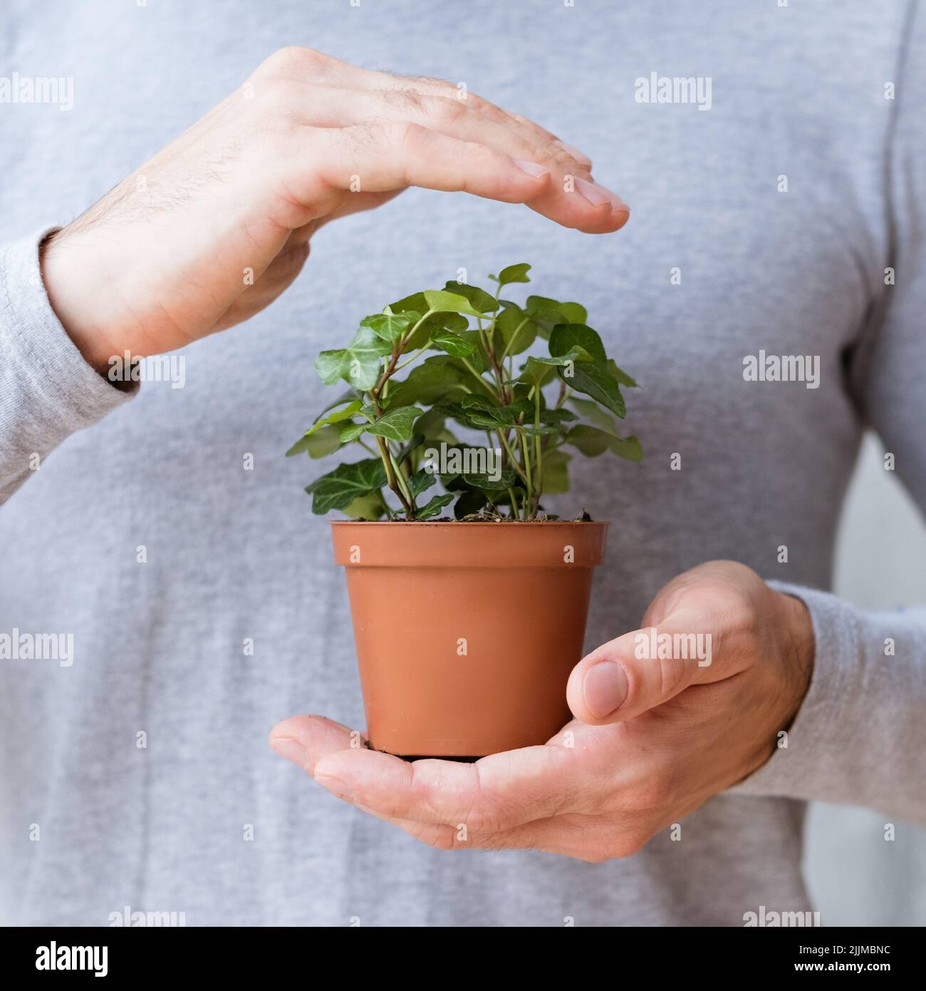 Nachhaltige Entwicklung Mensch Hand Naturschutz Stockfoto