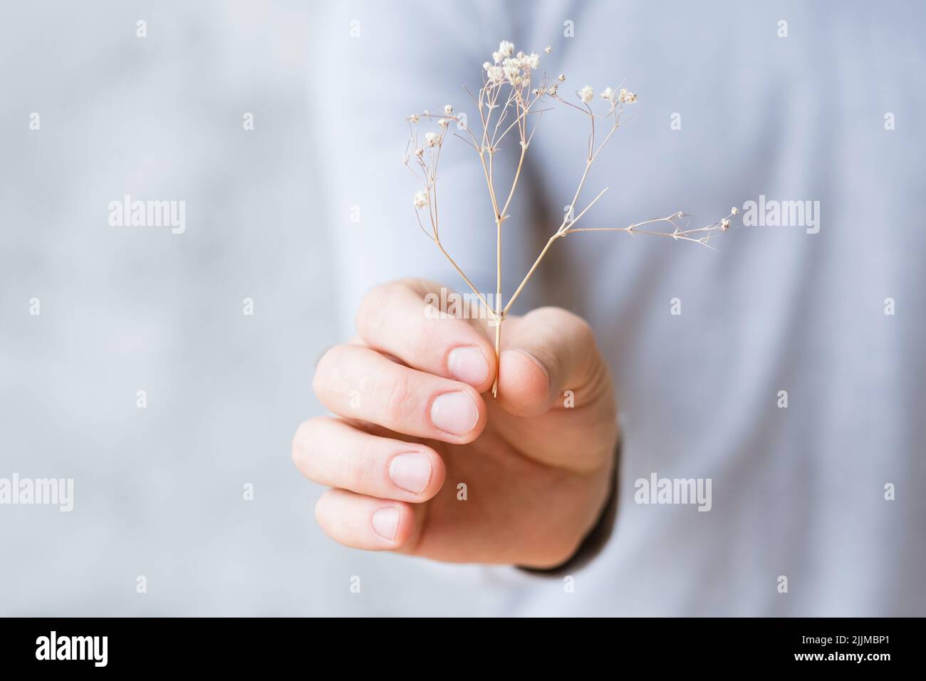 Nachhaltige Entwicklung schürte den Naturschutz Stockfoto
