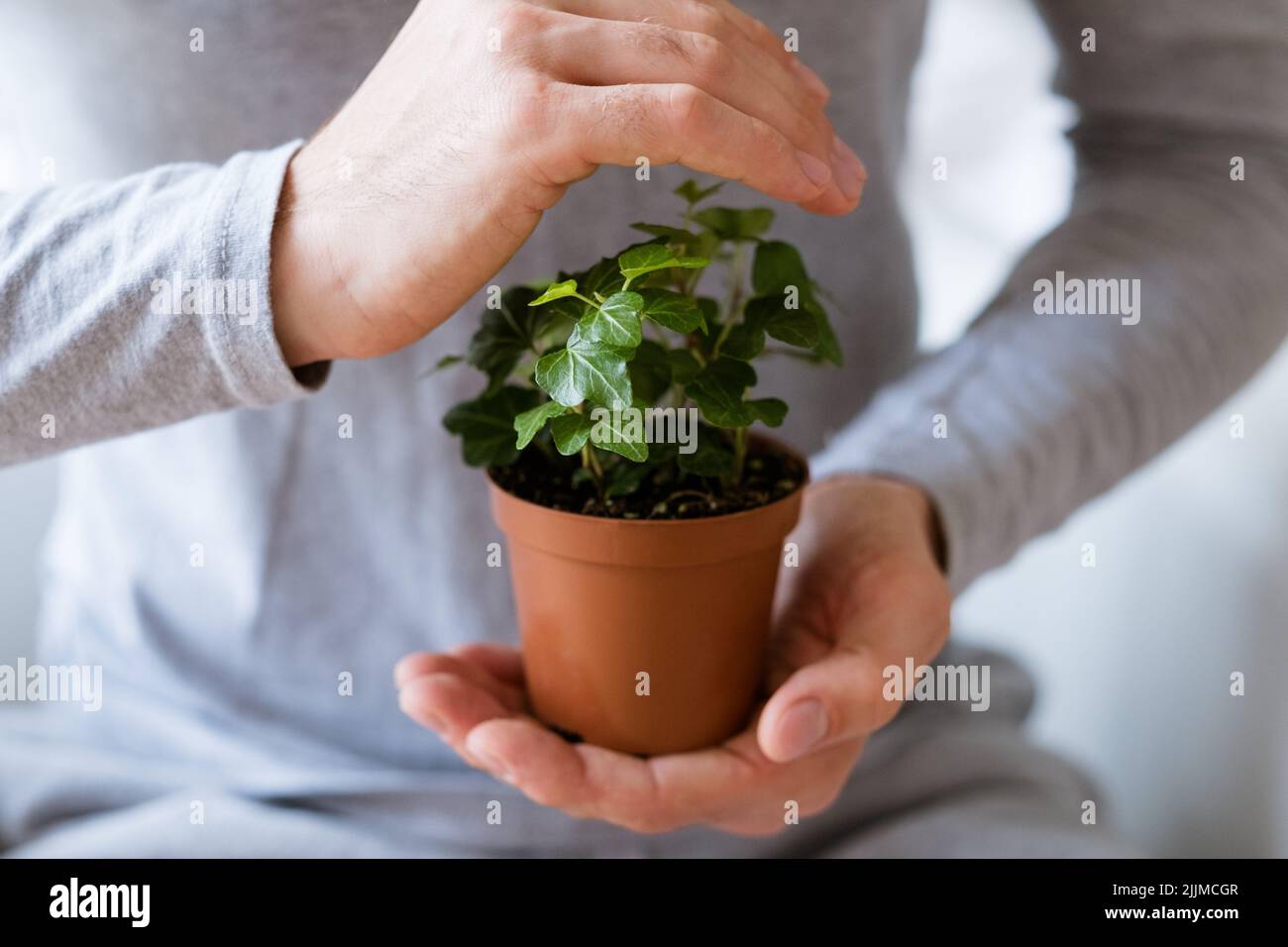 Mensch halten Pflanze decken Natur Umweltschutz Stockfoto