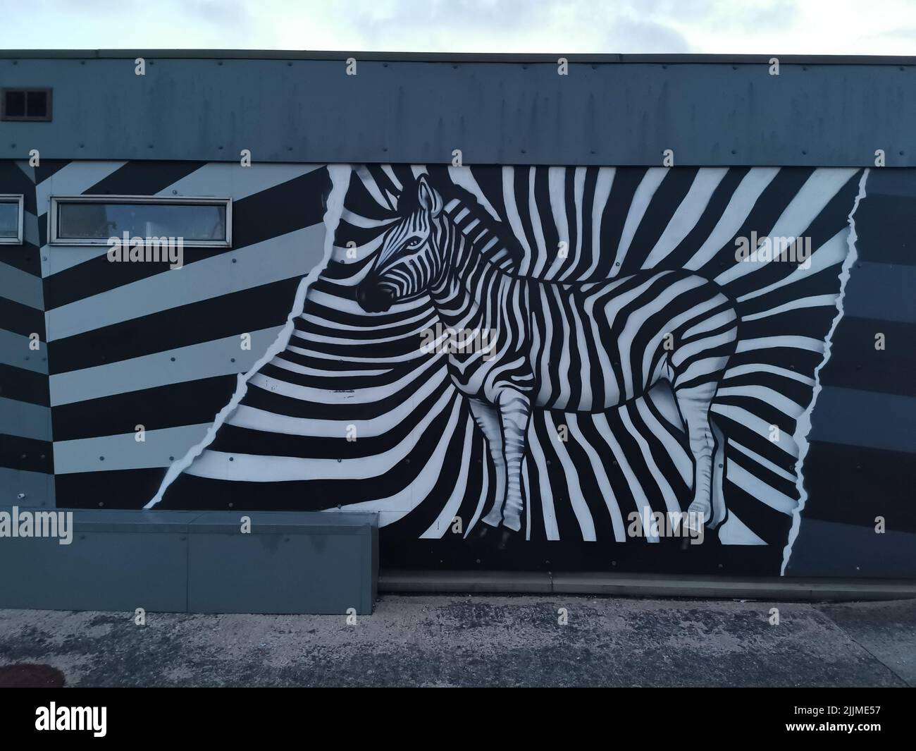 Ein Street Art Wandbild von Zebra im Stadtzentrum von Belfast Stockfoto