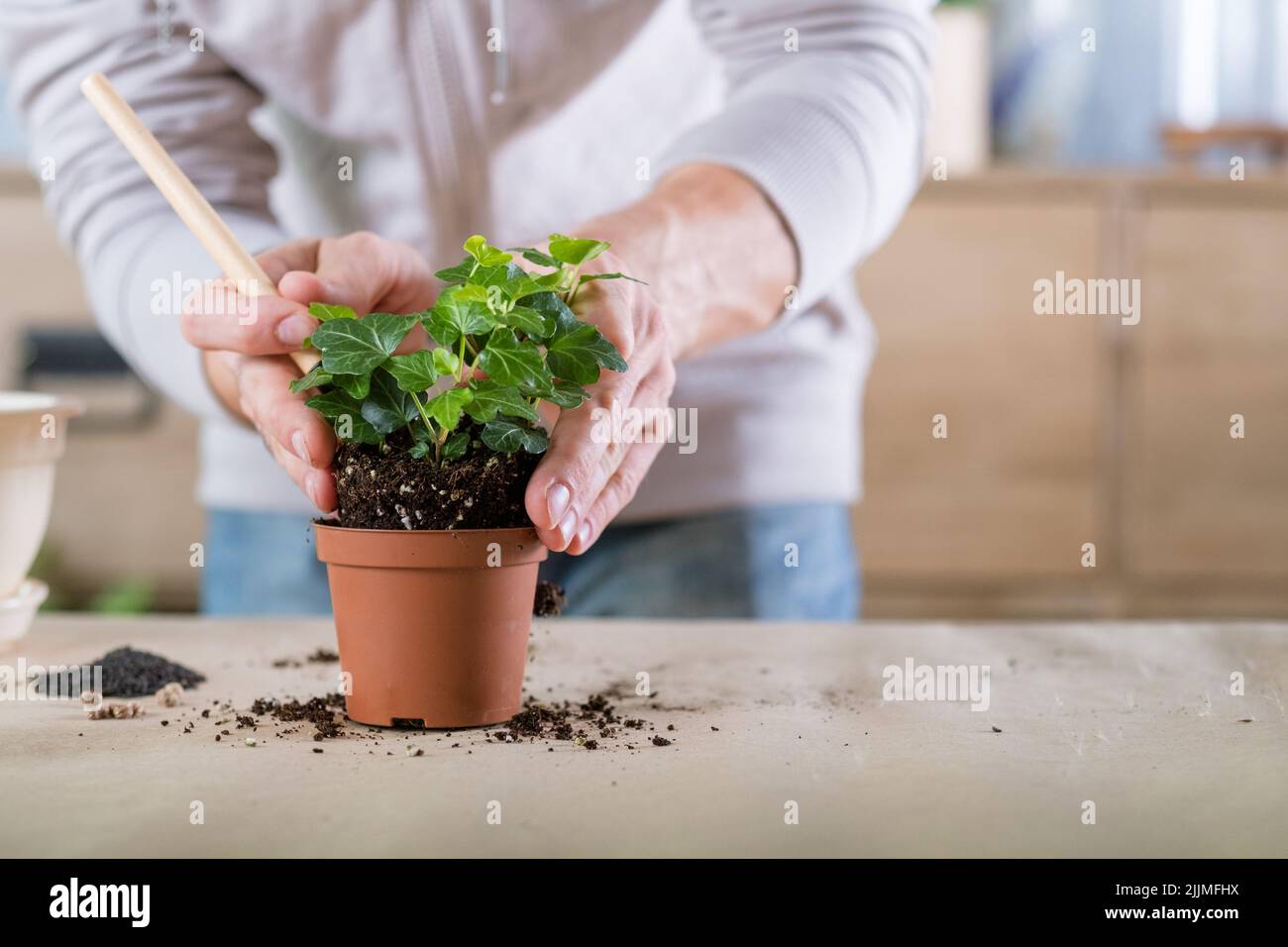 Gärtner arbeiten Indoor Gartenarbeit Hobby Mann umpflanzen Stockfoto