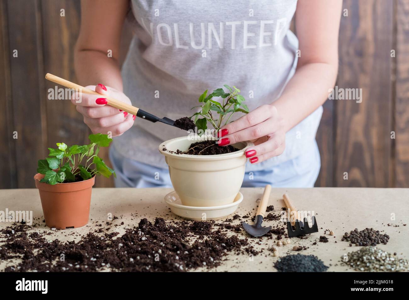 Freiwillige Garten Lifestyle Keimling Keimung Stockfoto