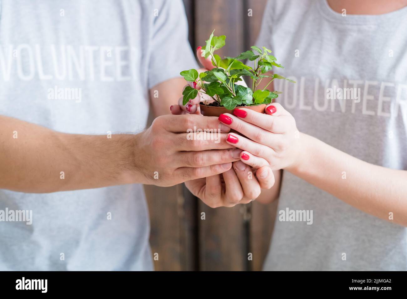 Umweltfreundlicher freiwilliger Pflanzenschutz Stockfoto