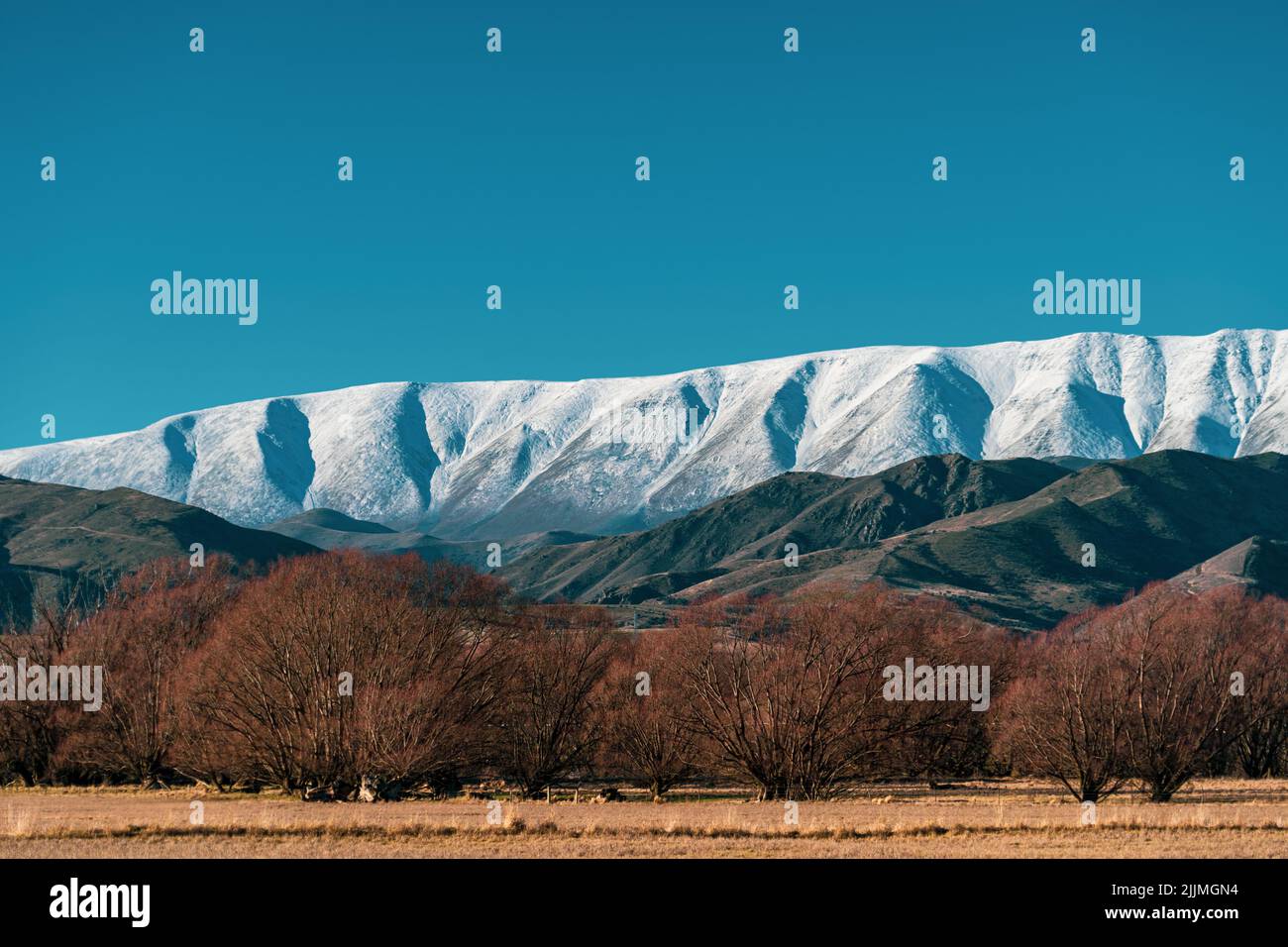 Ein Foto von Feld mit Bäumen gegen schneebedeckte Berge Stockfoto