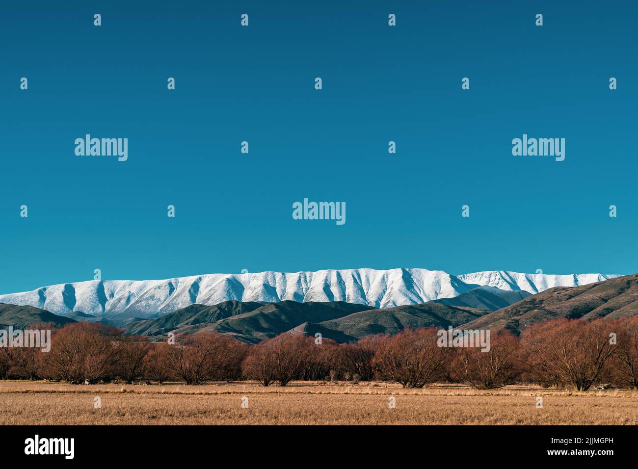 Ein Foto von Feld mit Bäumen gegen schneebedeckte Berge Stockfoto