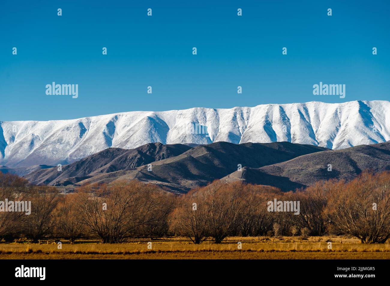 Ein Foto von Feld mit Bäumen gegen schneebedeckte Berge Stockfoto