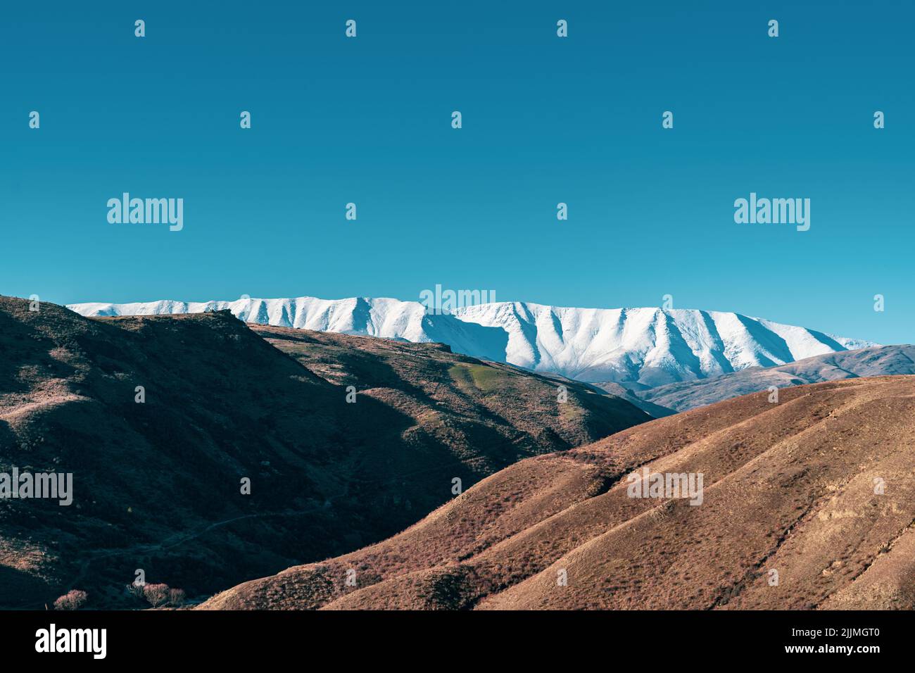 Ein Foto von Feld mit Bäumen gegen schneebedeckte Berge Stockfoto