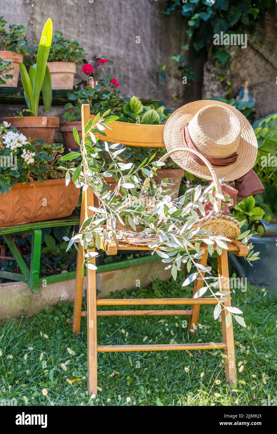 Stuhl im Garten Hut, Korb mit Oliven-Brunches, warmen sonnigen Tag Stockfoto