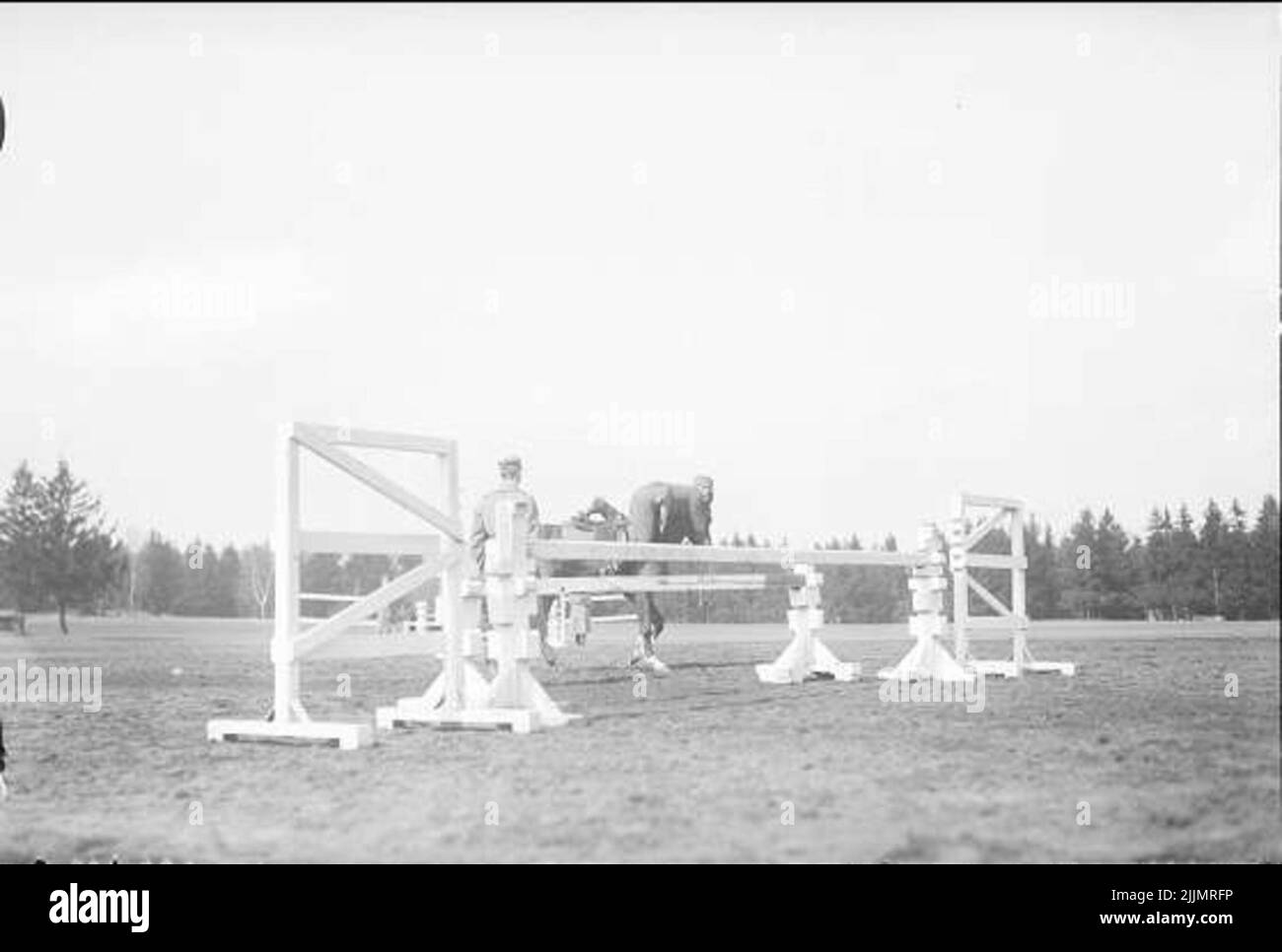 Preisspringen auf dem südlichen Feld (sandfield). „Sehen Sie, welchen Stil er hat“. Stockfoto