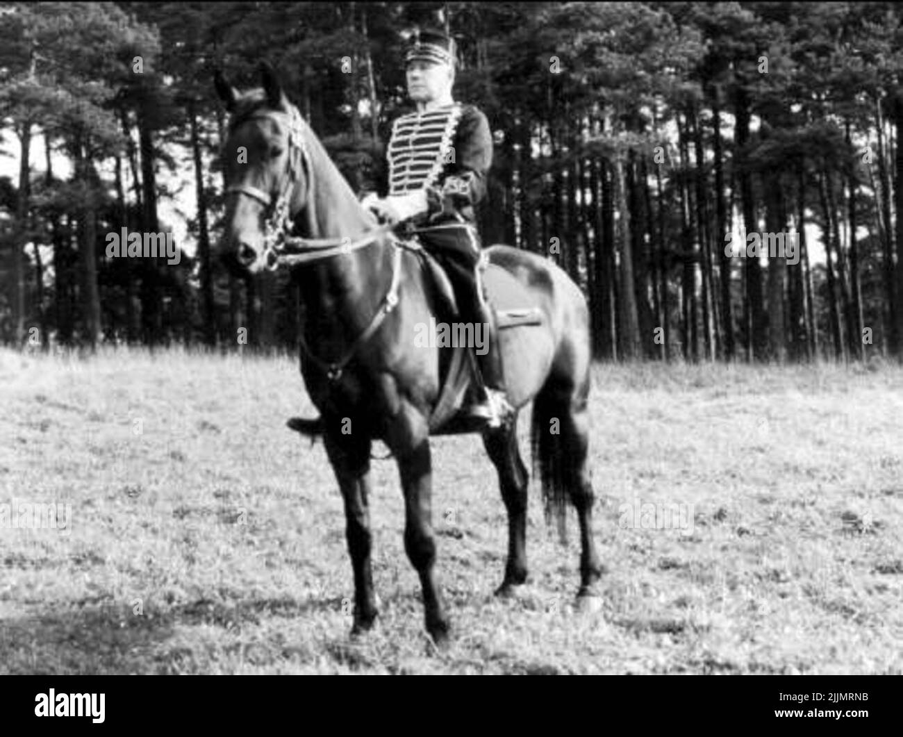 Fanjunkare F-O Hallenberg, K 3 Ehrenamt des Generalleutnants der Armee. Squadron Adjutant 2 Squadron K 3. Nach Der Pension Volvo Verkäufer. Stockfoto