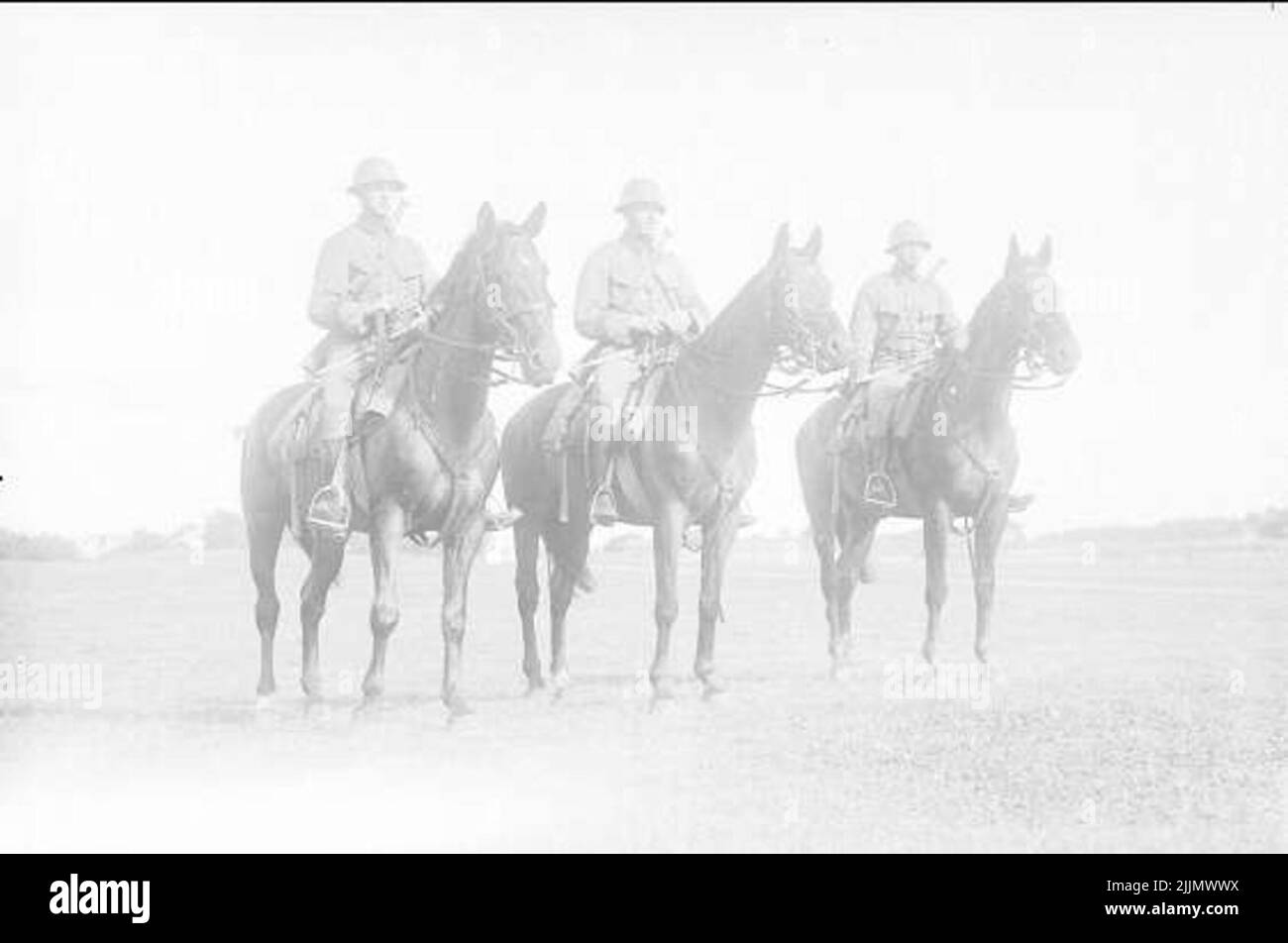 Rider Trupp bei der Teppich-Studie mit Fahrern - Fahrrad und gepanzerte Auto Dressing. Stockfoto