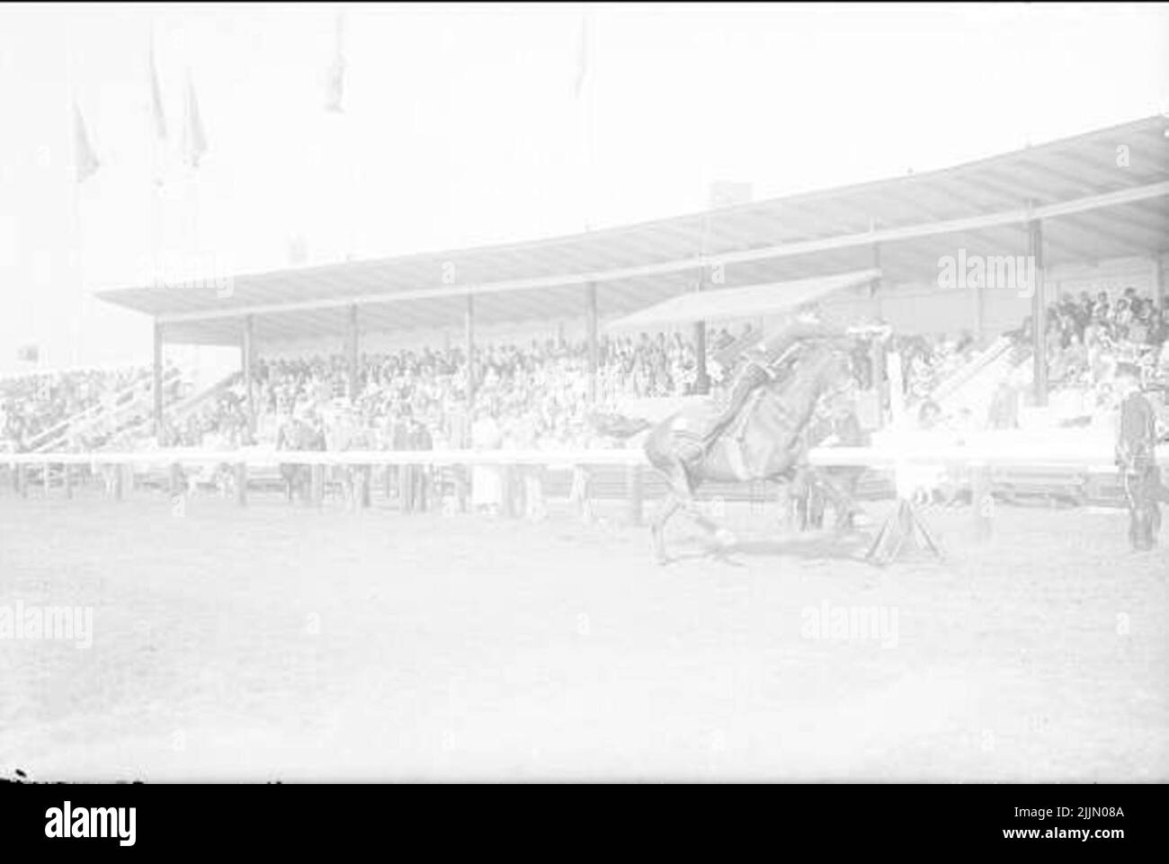 Säbelzäune für Pferd. Kleid Uniform m/1895. Stockfoto