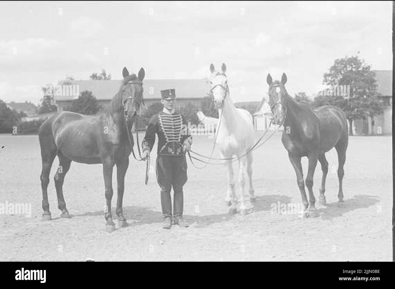 Pferdepfleger mit drei Dienstpferden. Stockfoto