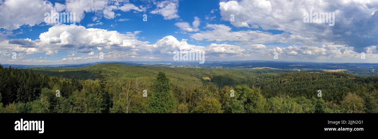 Eine Panoramaaufnahme der Baumwipfel-Landschaft unter dem wolkigen Himmel. Stockfoto