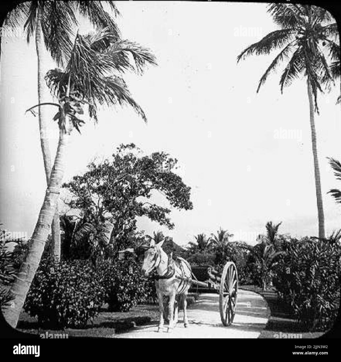 Florida Stockfoto