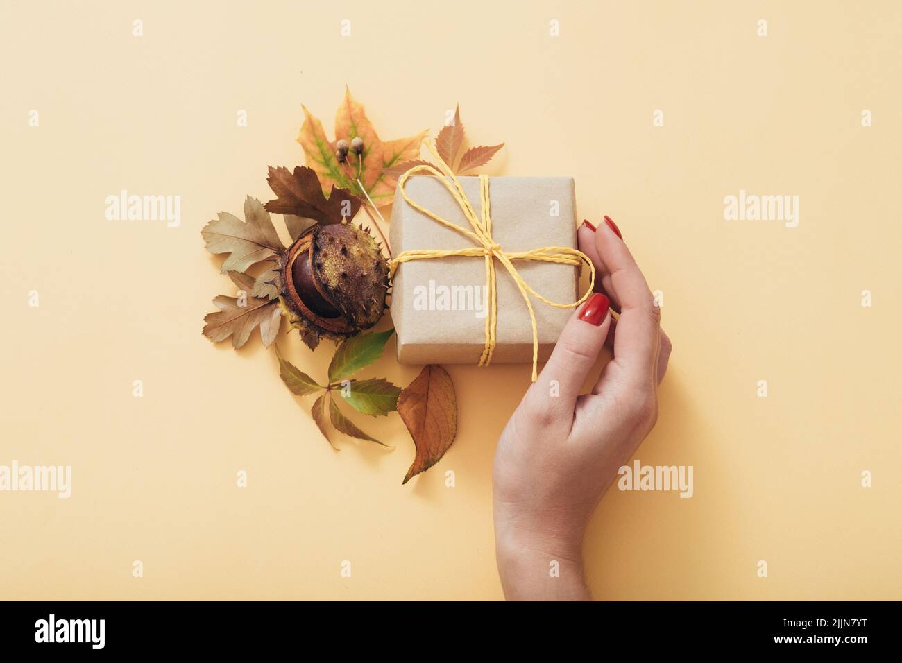 Herbst Urlaub präsent zarte liebevolle Pflege Geschenkbox Stockfoto