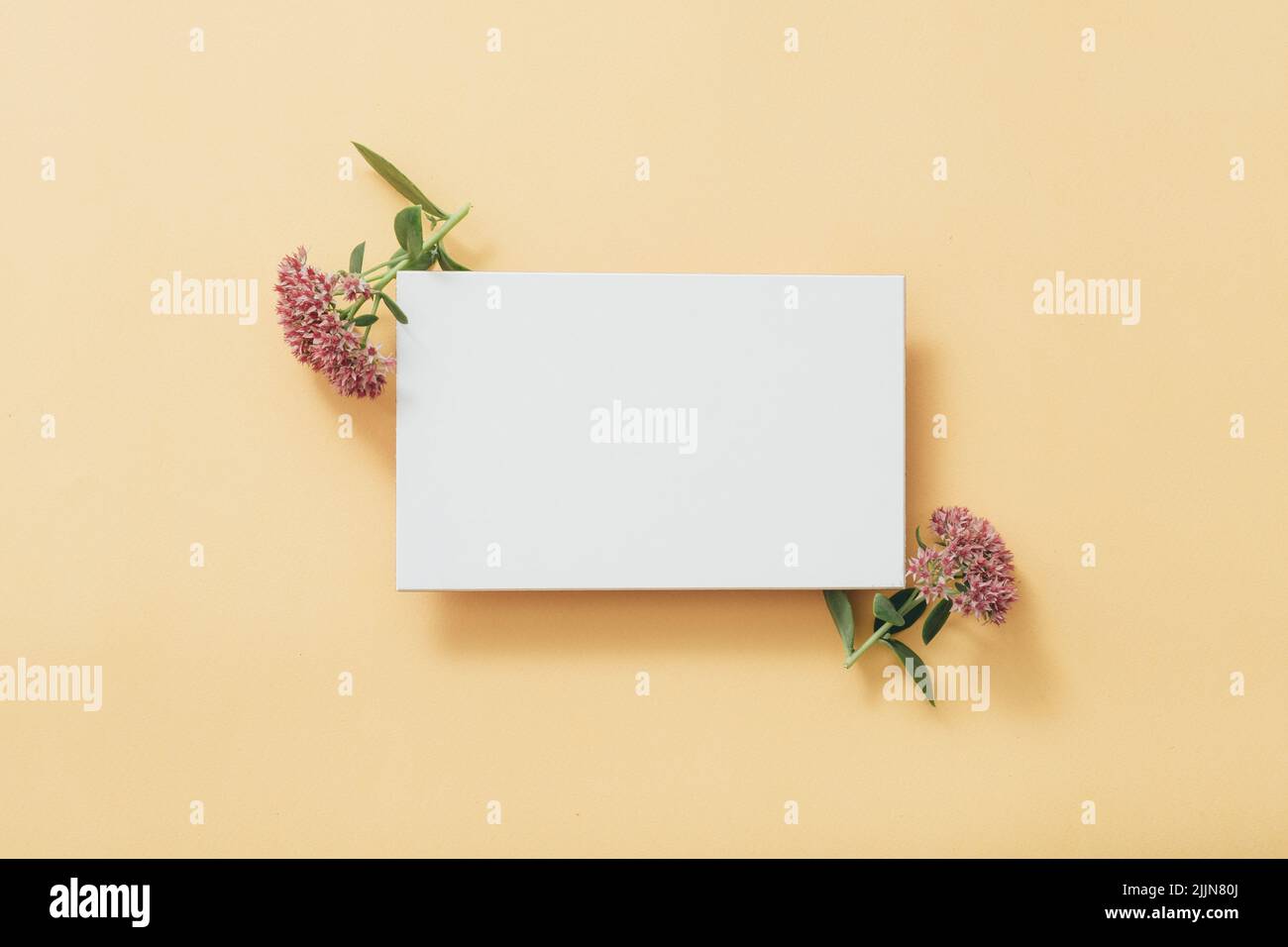 Weißes leeres Papier Gruß florale Komposition fallen Stockfoto