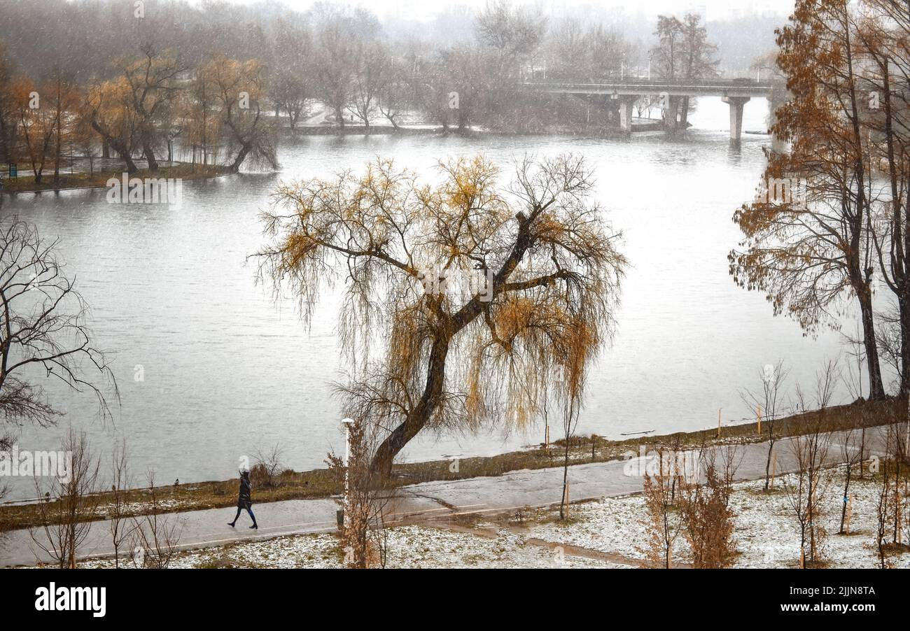 Eine Person, die in der Nähe des Flusses im Tineretului Park, Bukarest, läuft Stockfoto