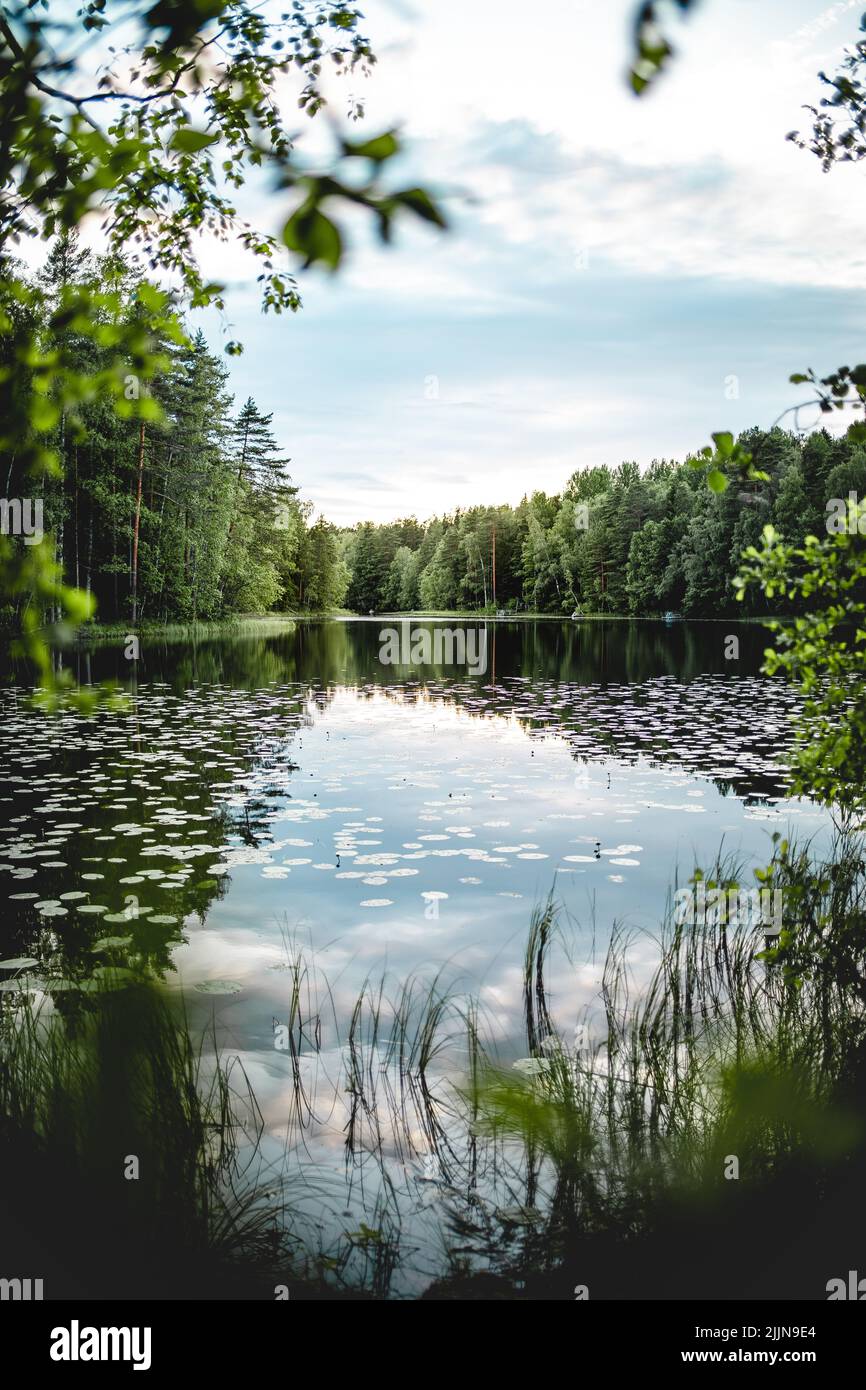 Eine vertikale Aufnahme eines von Bäumen umgebenen Teiches im Nuuksio-Nationalpark in Espoo, Finnland Stockfoto