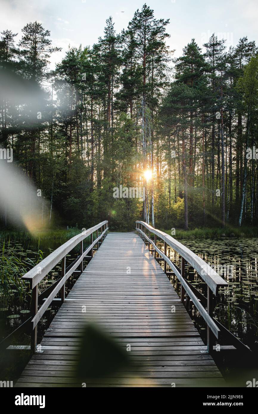 Eine vertikale Aufnahme einer Promenade im Nuuksio-Nationalpark, Espoo, Finnland Stockfoto