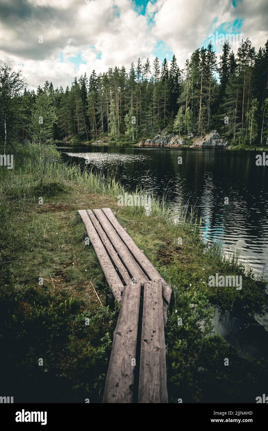 Eine hölzerne Plattform am Ufer eines Flusses in einem dichten Tannenwald Stockfoto