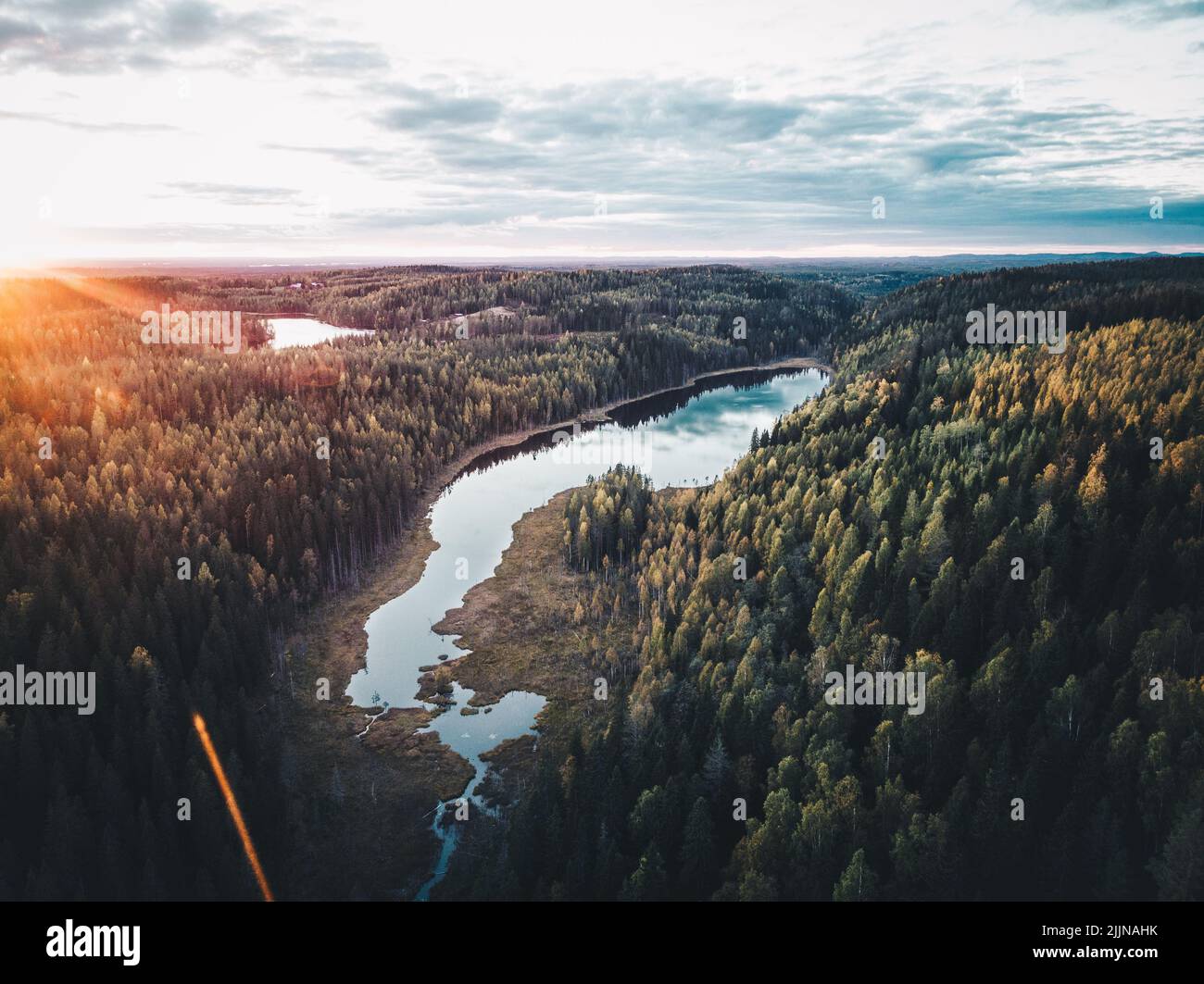 Eine wunderschöne Landschaft eines Flusses, der am Sonnenaufgang in einem dichten Tannenwald fließt Stockfoto