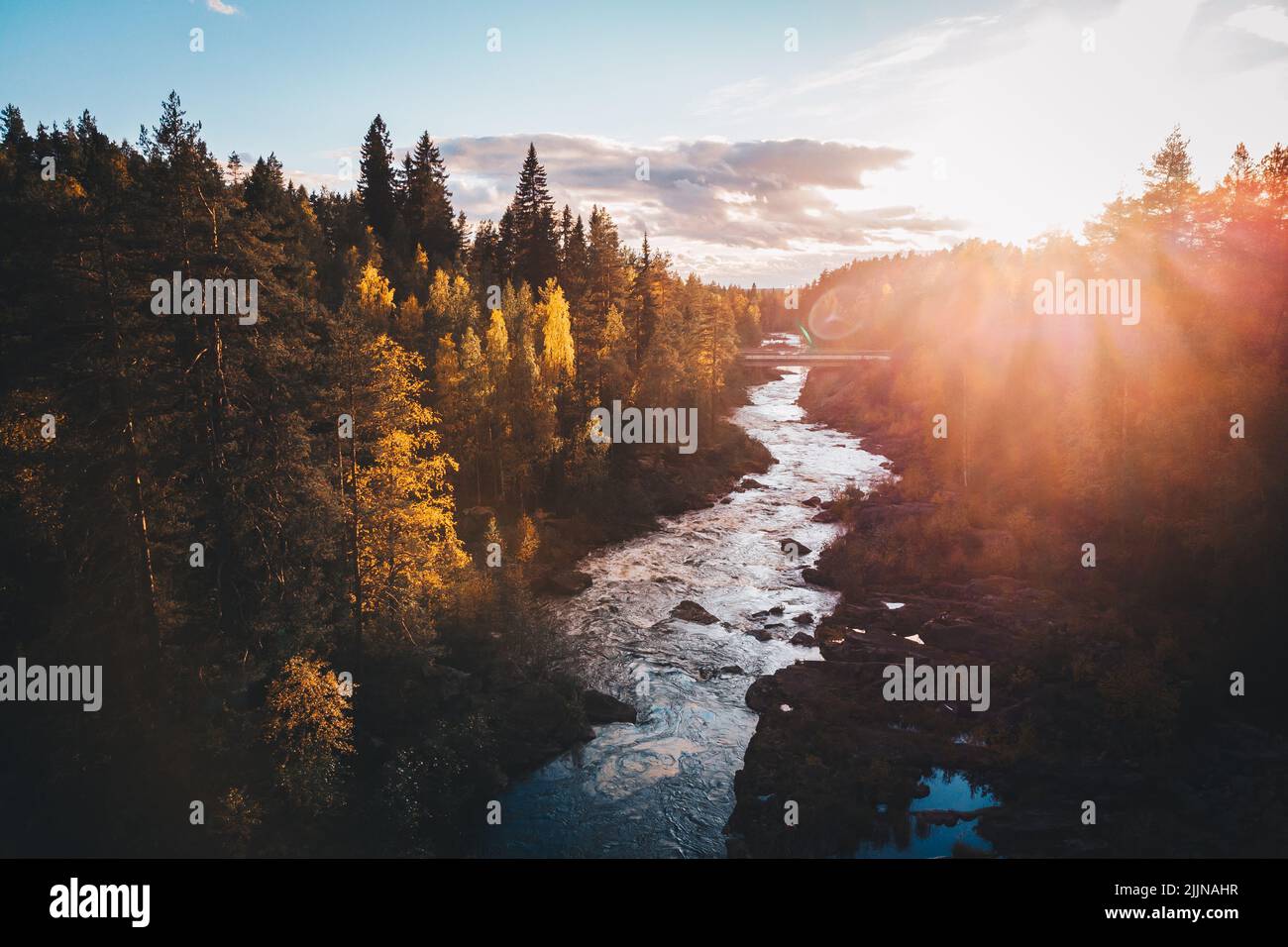 Eine wunderschöne Landschaft eines Flusses, der am Sonnenaufgang in einem dichten Tannenwald fließt Stockfoto