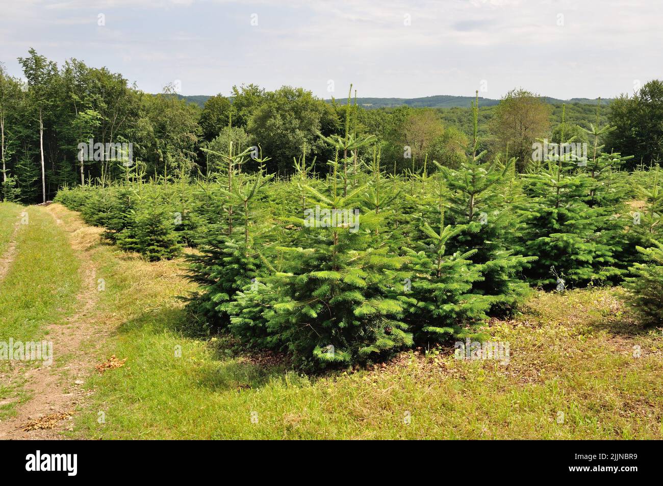 58. Morvan, Montsauche Stockfoto