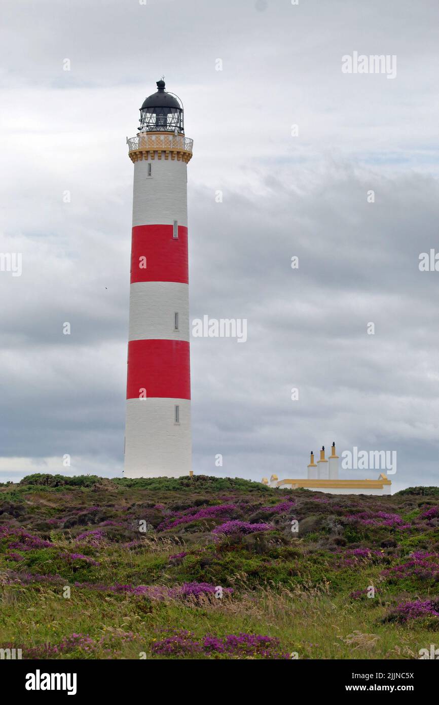 Tarbat Ness Lighthouse, Schottland Stockfoto