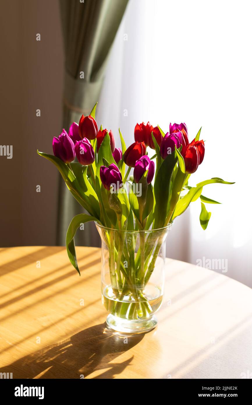 Glasvase auf dem Tisch mit Tulpen, Licht aus dem Fenster und Schatten. Stockfoto