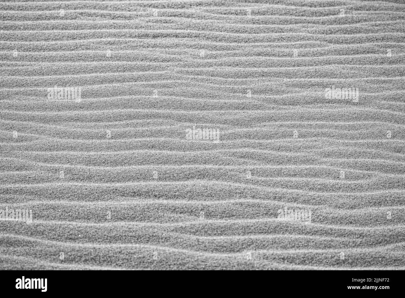 Eine Graustufenaufnahme von Details auf Sanddünen Stockfoto