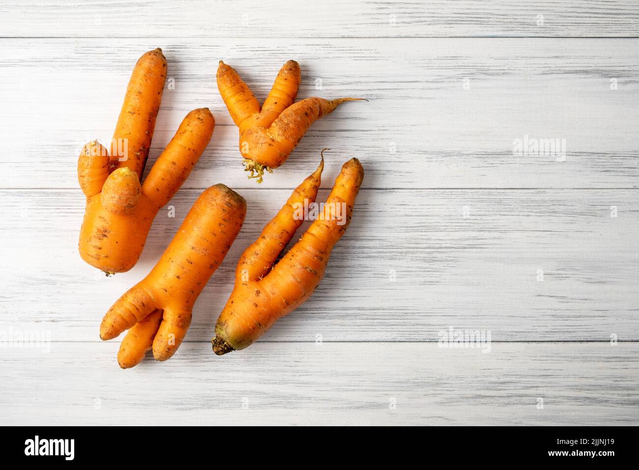 Mehrere reife orange hässliche Karotten liegen auf einer hellen Holzoberfläche Stockfoto