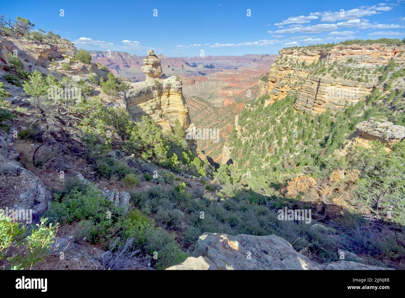 Ente auf Einer Felsformation, Grand Canyon National Park, Arizona, USA Stockfoto