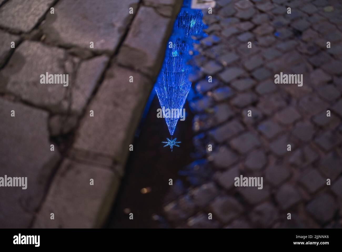 Eine Nahaufnahme eines blauen Weihnachtsbaums, der auf einer kleinen Wasserpfütze neben dem steingefliesten Bürgersteig reflektiert wird Stockfoto