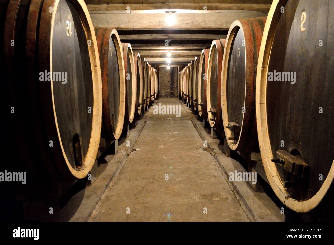 Eine perspektivische Aufnahme von Weinfässern in einer Reihe am Weingewölbe. Stockfoto