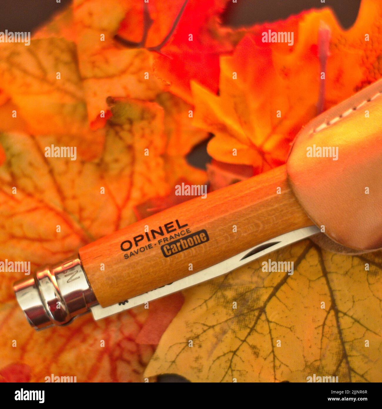 Ein Reibungsfolder-Messer auf verschiedenen farbigen Blättern Stockfoto