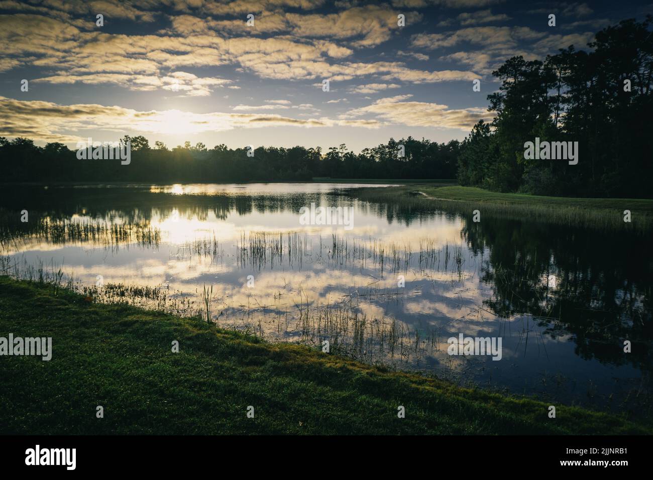 Der wunderschöne Sommeraufgang über dem See in Florida Stockfoto