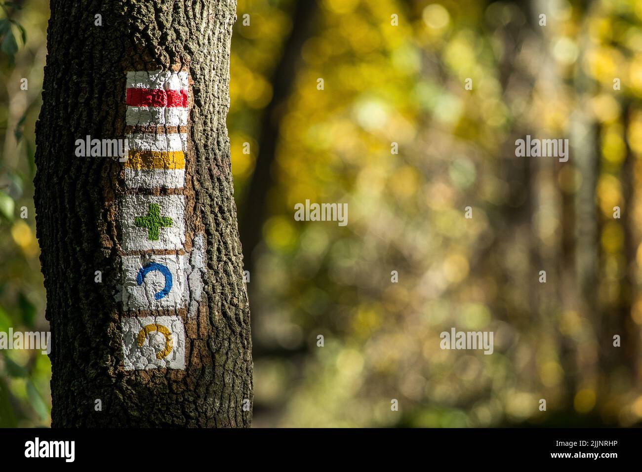Eine Nahaufnahme der Schilder am Baumstamm Stockfoto