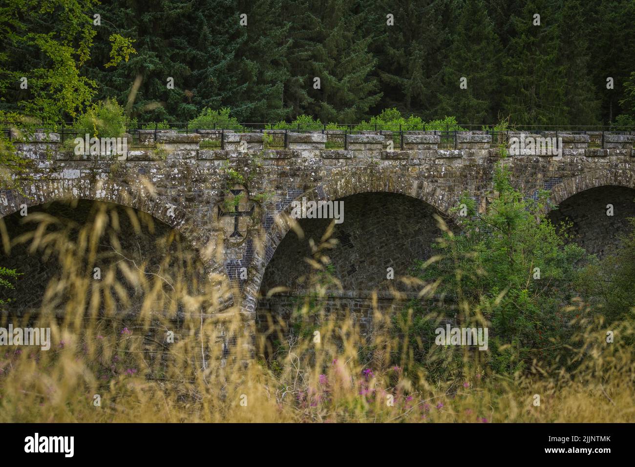 Eine alte Steinbrücke, umgeben von dichten Fichten und Gras Stockfoto