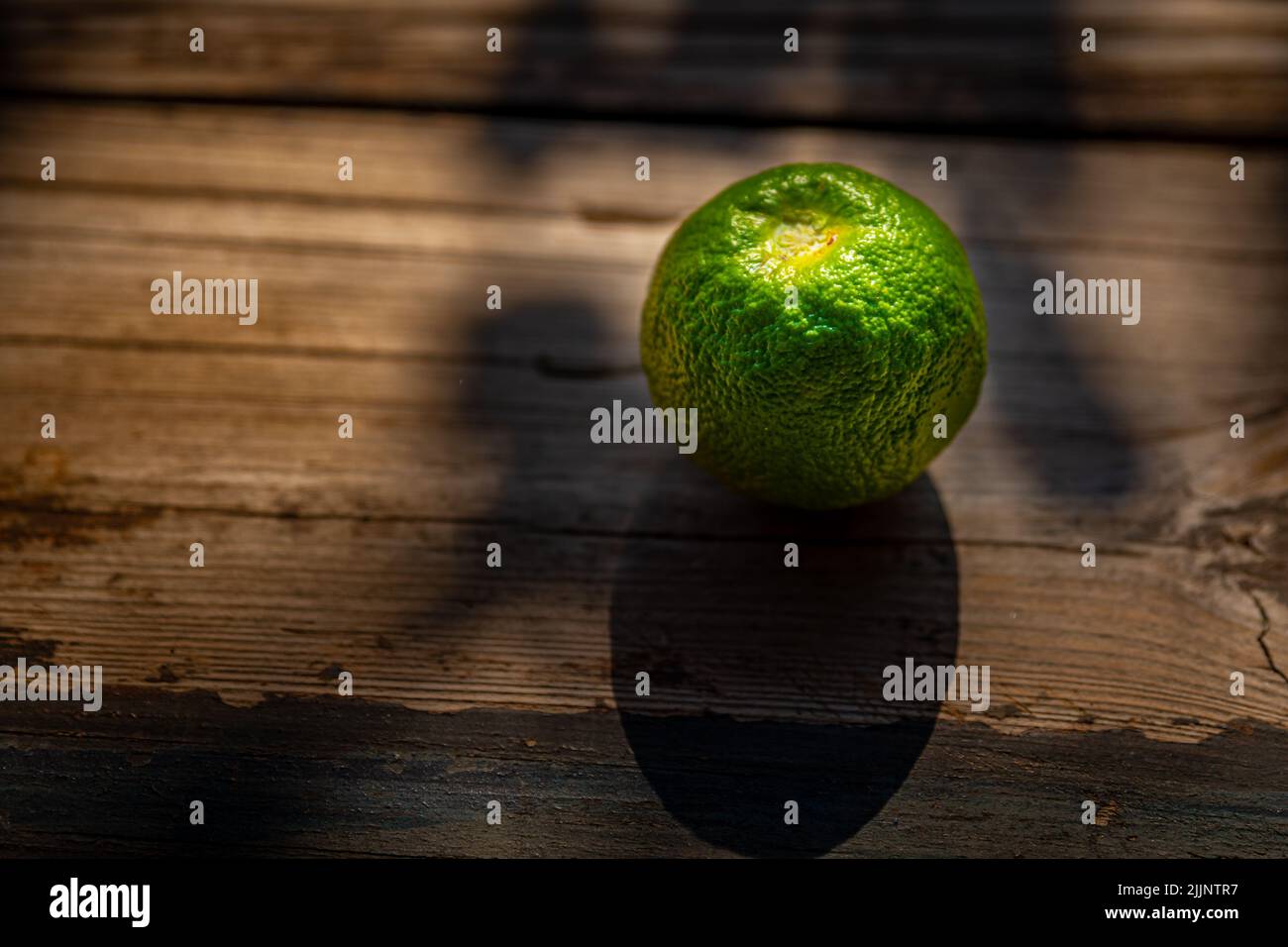 Eine frische grüne Mandarine auf einem hölzernen Hintergrund Stockfoto