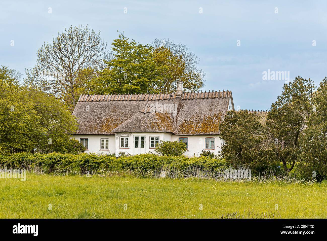 Altes Landhaus mit Reetdach, Dänemark, 10. Mai 2020 Stockfoto