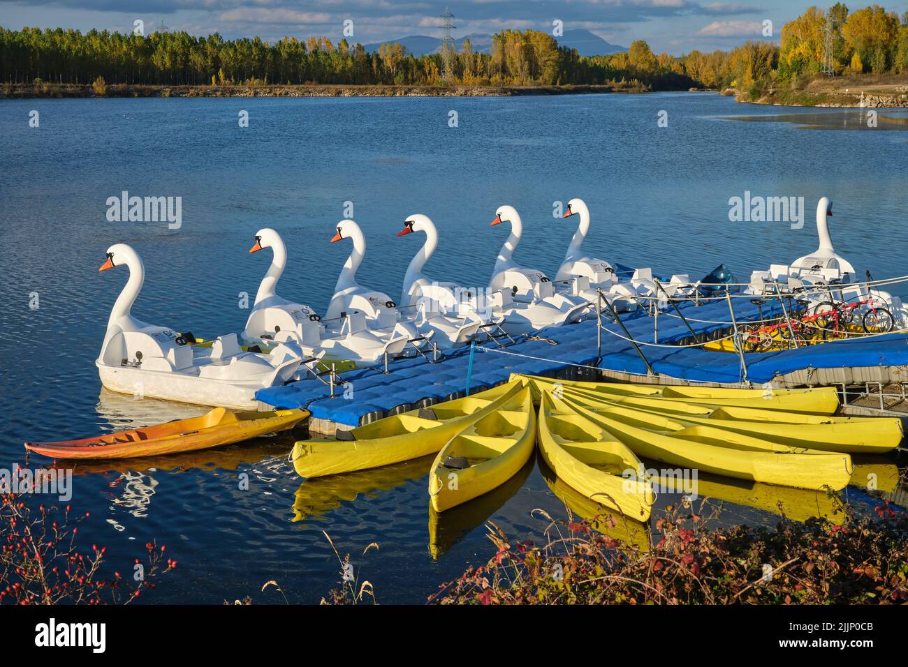 Weiße Tretboote in Form von Schwanen und gelbe Kanus, die an sonnigen Tagen am Holzkai am Teich festgemacht sind Stockfoto