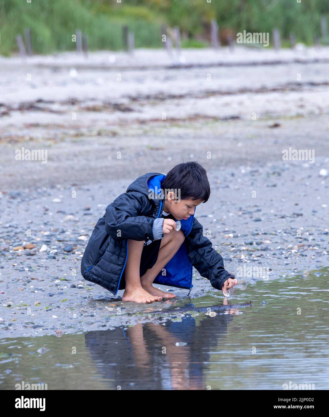 Kleiner Junge, der Muscheln im Pool am Strand von Ballyhornan, Nordirland, untersucht Stockfoto