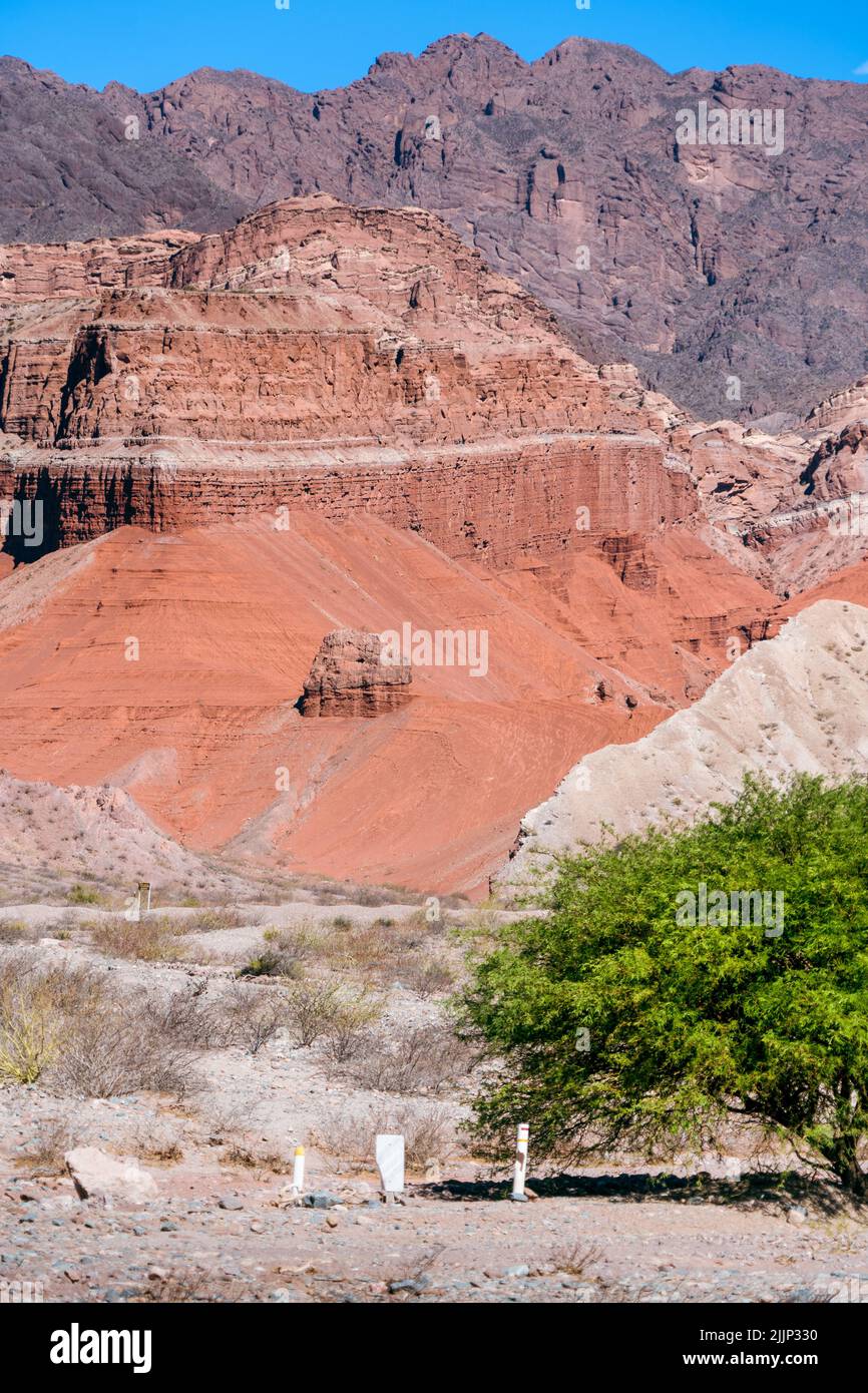 Eine vertikale Aufnahme riesiger roter Canyons Stockfoto